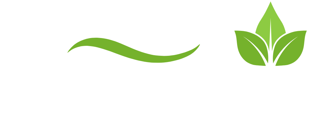 Evidence-Based Supplement Reviews